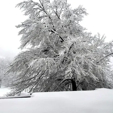 Casa Di Nastya Appartamento *