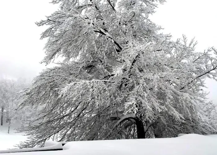 Casa Di Nastya Appartamento *